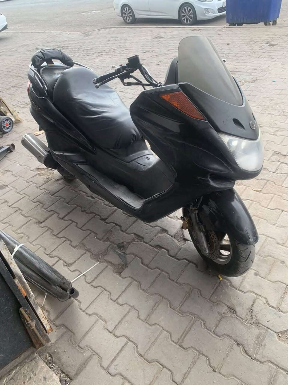 مجسته • بدون اوراق • البصره