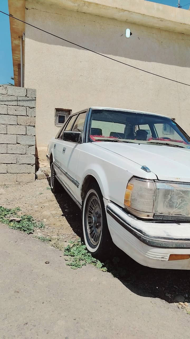 سوبر 87 رقم صلاح الدين باسمي رقم جديد دولي كير شرط محرك اوتو شرط الشلعه تبريدها شغال ثلج القمارة مبيها قطرة صبغ تخم تاير جديد باتري جديد محركها بطه Vv. T 2500 شرط التحويل والوكالة السعر 40 وبيها مجال للشراي مكاني تكريت للاستفسار ***********
