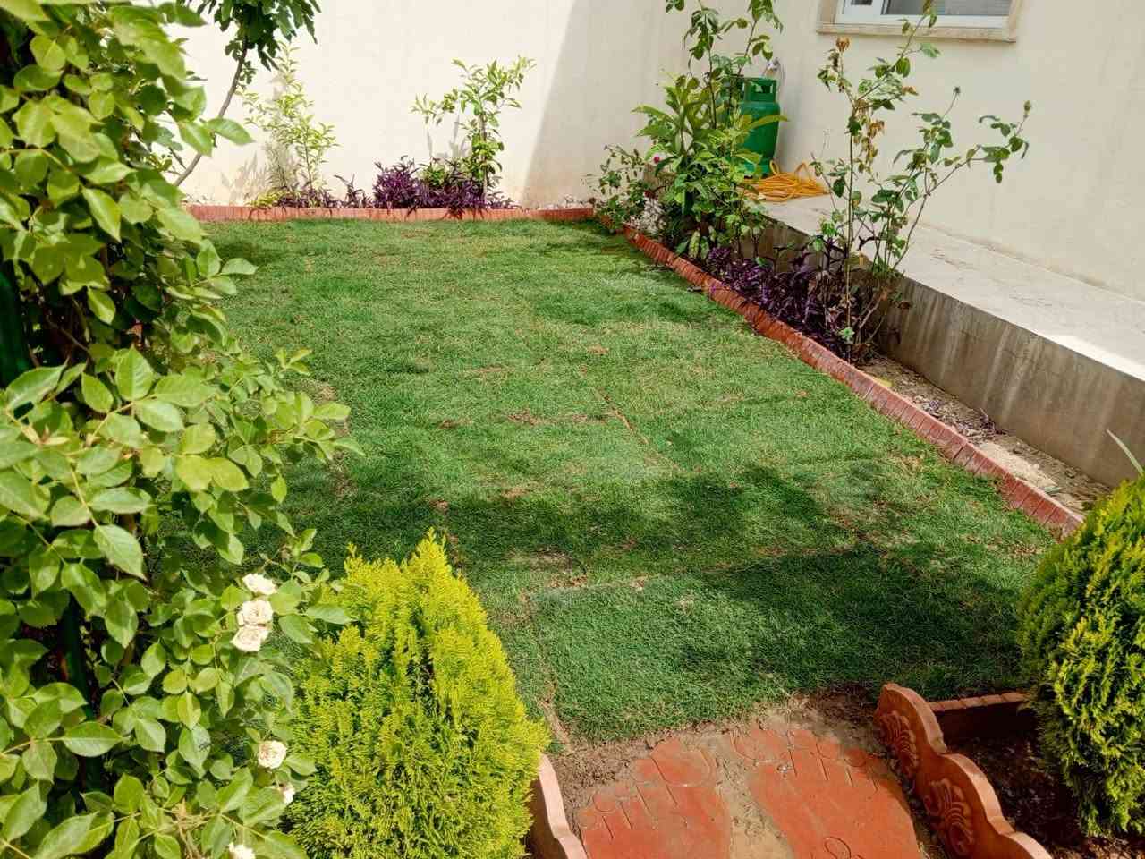 وتساب***********/*********** ،السلام عليكم 🌷هذا جزء من 🌱عملي 🌷ان شاء الله 🌷 عجابكم🍁 مستعدين 🌷 تأسيس 🌷الحدئق و🌷قص الثيل وتقليم الا 🍁شجار
