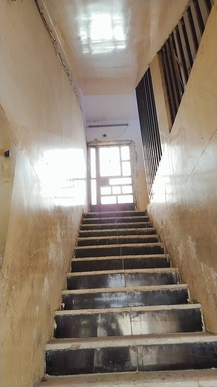الدولعي الجديدة • غرفتين • نضيفه