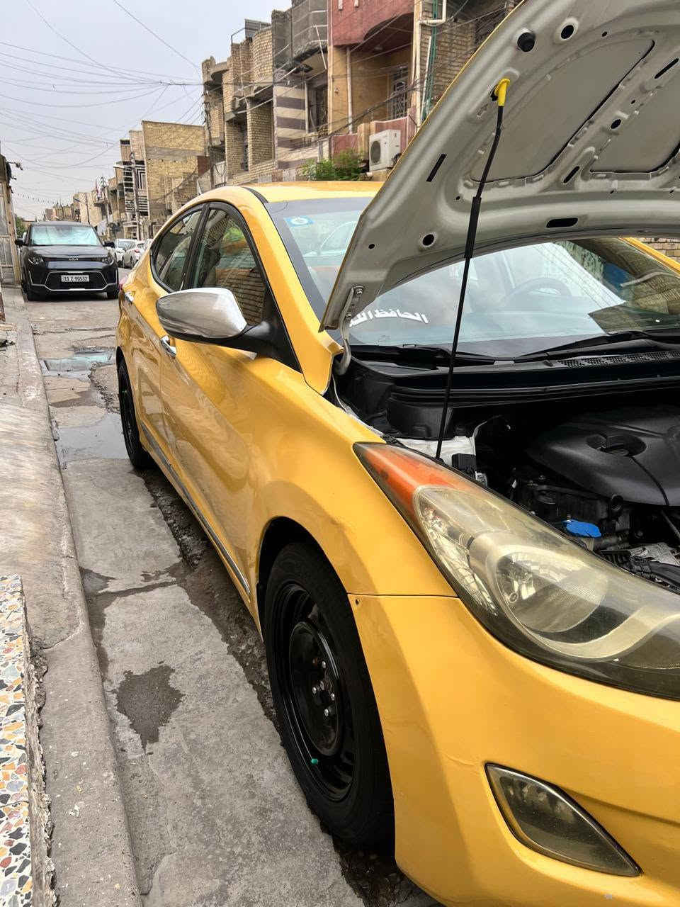 النترا • ٢٠١١ • وارد امريكي