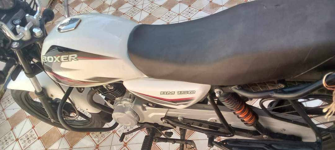 سلام عليكم شباب  بوكسر للبيع موديل 2021 كامله المكان ديالى جديدة الشط بوابة بغداد الرقم *********** السعر 700 بمامجل@
