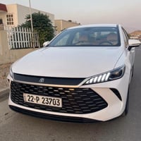 بي واي دي • ٢٠٢٥ • ١٩٠٠٠ كم