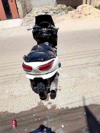 فورزه • ٠٩ • شغالة