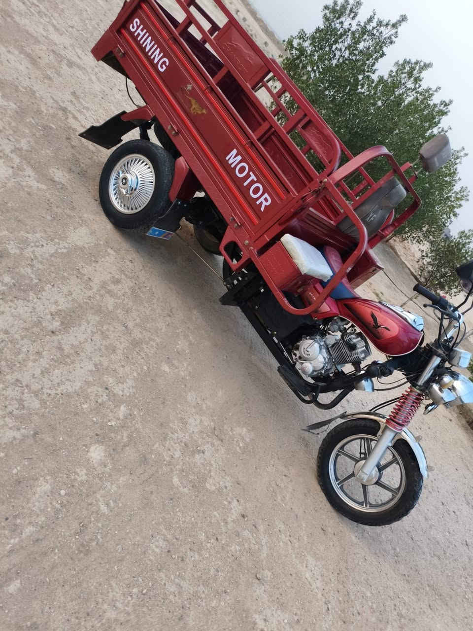 ستوته • موديل ٢٣ • مرقمه