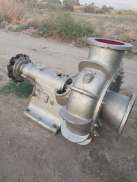 خنزيرة ألمانية ١٦ب١٤( ٠٧٧٢٢٤٩٣٣٥٨)