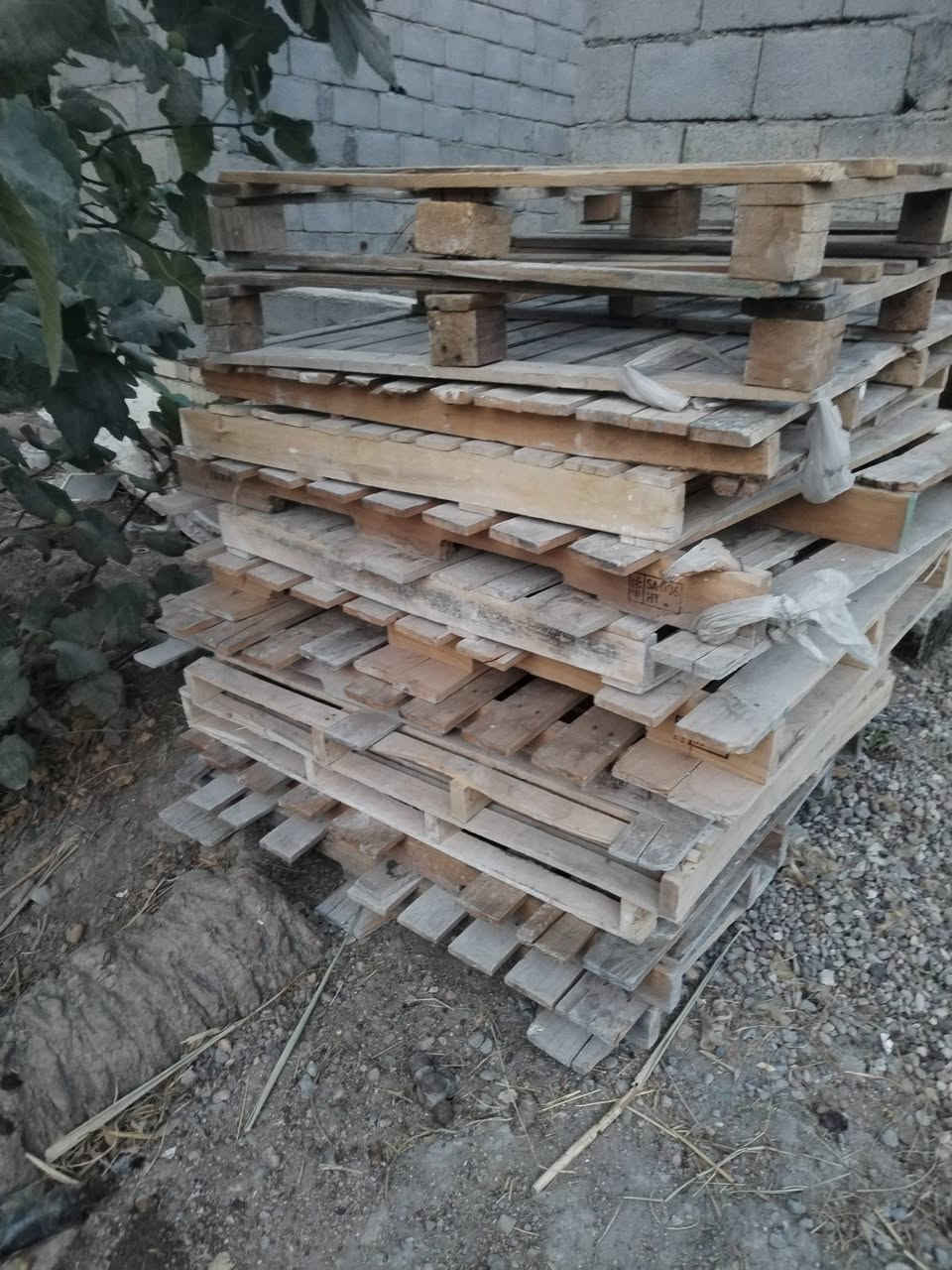 سكيب • الصويرة • واسط