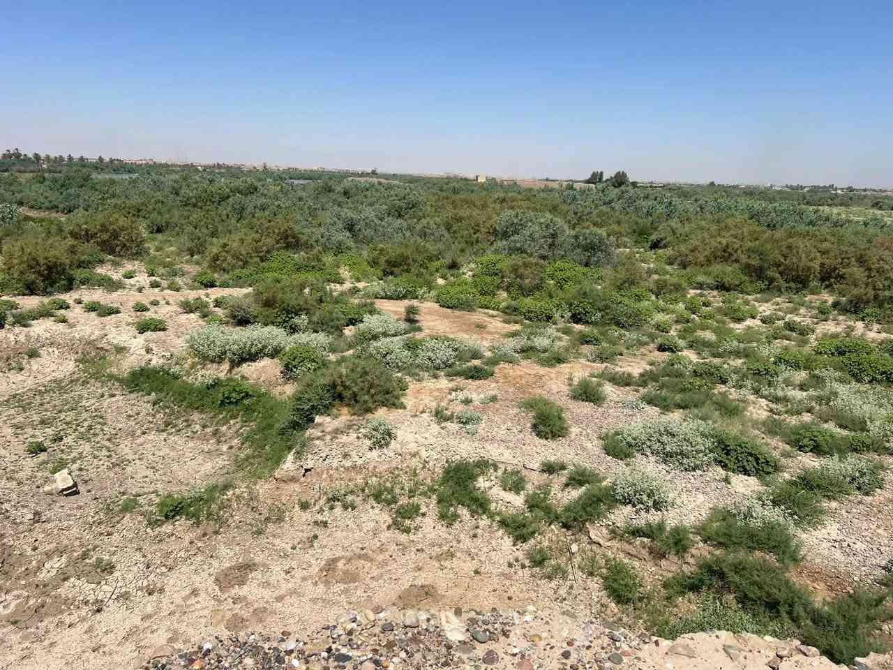 السلام عليكم للبيع ارض زراعيه مال معامل حصو ورمل وكساره بيهه مواد درجه أوله الرقم *********** محافظة صلاح الدين تكريت ناحيه البوعجيل الاستفسار
