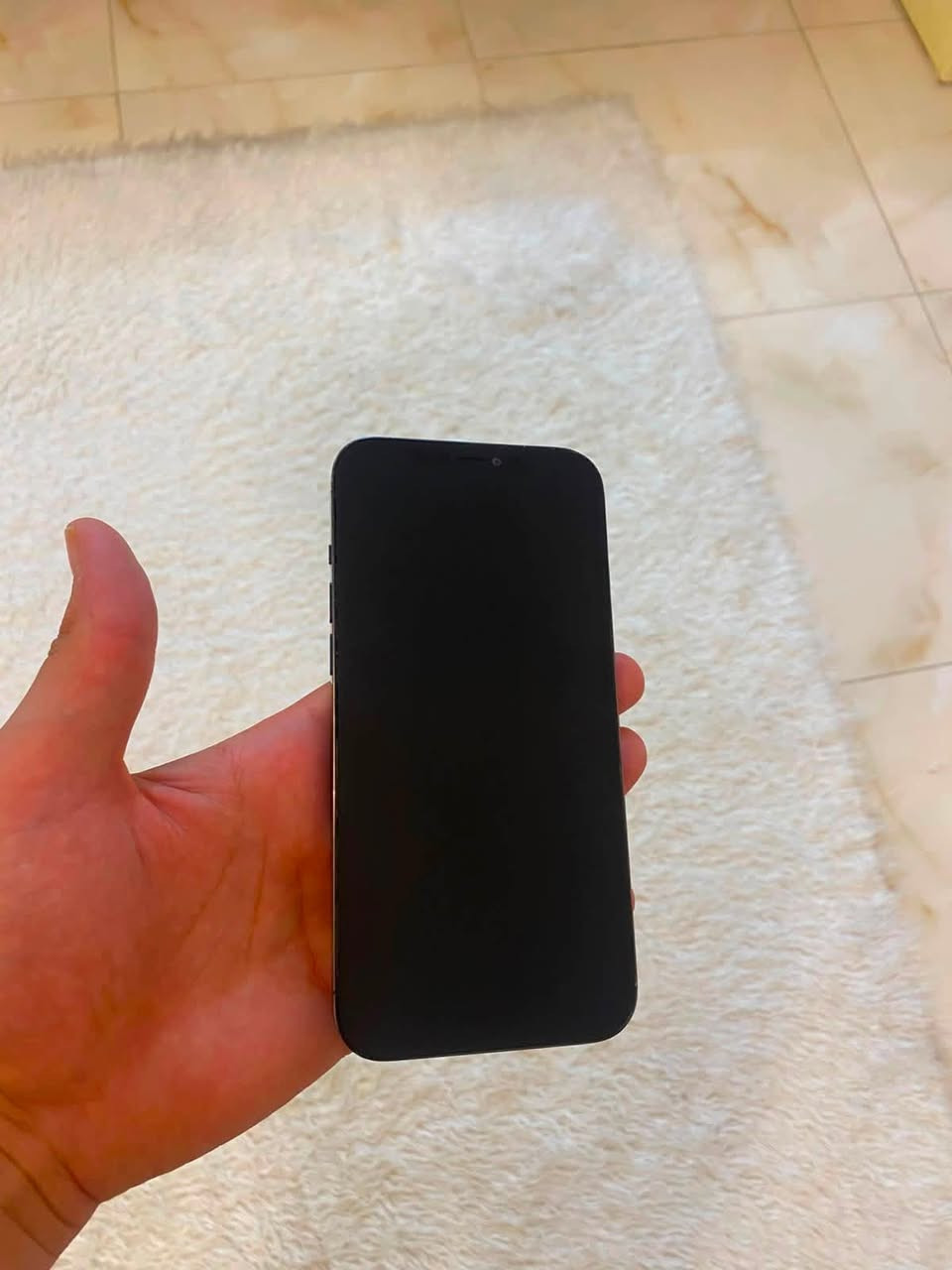 ثنعش برو ماكس
كلشي مبدل بي 
بطارية اصلية 
كامرة 
وشاشة اليوم شديتهة ب ١٥٠ الف ومكةة 
*********** واتساب مكاني كربلا الحر الزغير 
اول ما نزل اخذتة ولليوم
