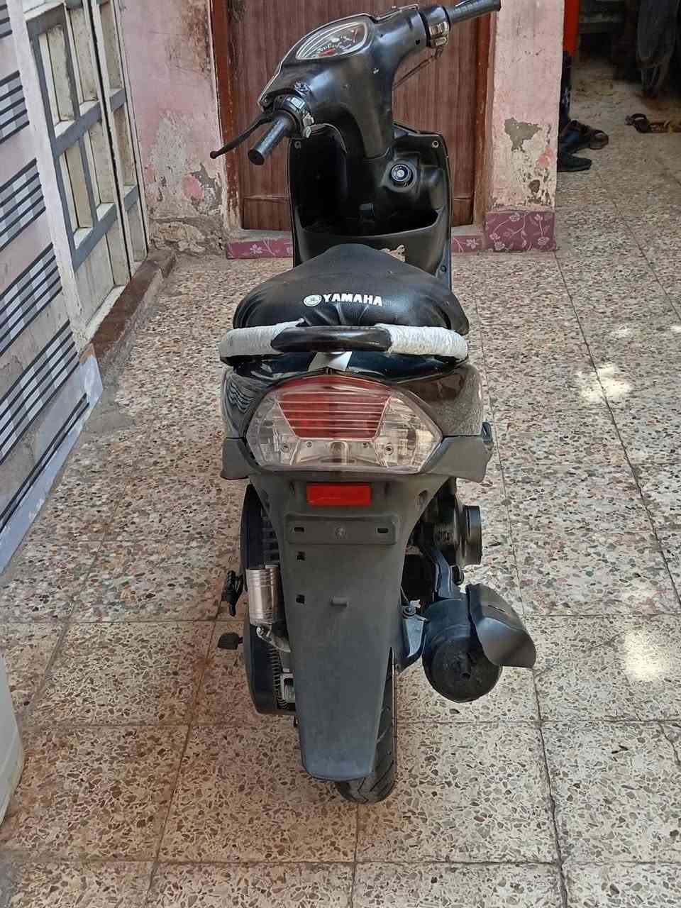 ماكس عدلة • ياباني • كفاله