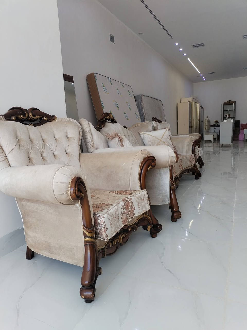 تخم قنفات رياسي تركي اخو الجديد ماركه للستفسار ***********
