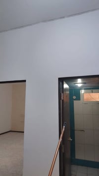 صباغين • متفرغين • نجف