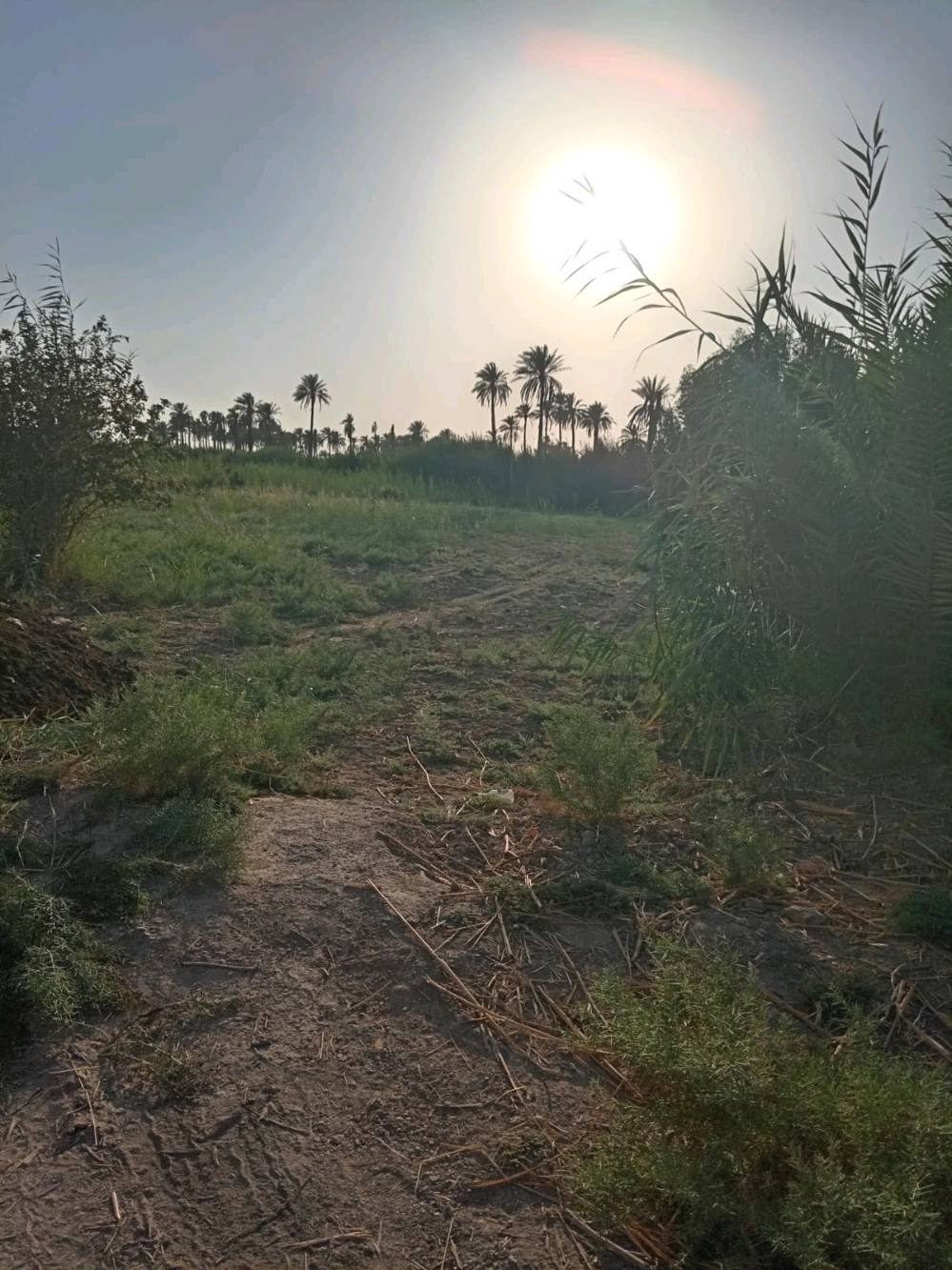 🌿 دونم زراعي للبيع  🌿

فرصة مميزة لامتلاك دونم زراعي بسند 25، مع تحويل رسمي مباشر باسم المشتري.

📍 الموقع:
طويريج – الرشيدة، قرب سيطرة 19 على طريق محمد العابد، ويبعد أقل من 300 متر عن الشارع المبلط.

✅ جميع الخدمات متوفرة.
✅ موقع مناسب للسكن أو الاستثمار.

📞 للتواصل:
اتصال أو واتساب: ***********