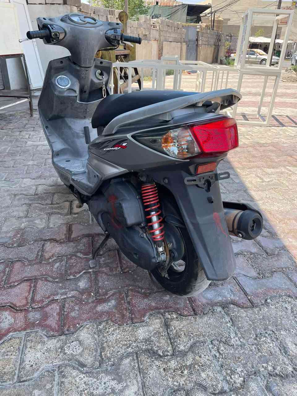 سكنس فحل • نوزل • ٢٠٠٩