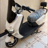 دراجة شحن • صاعقة • البصرة الزبير