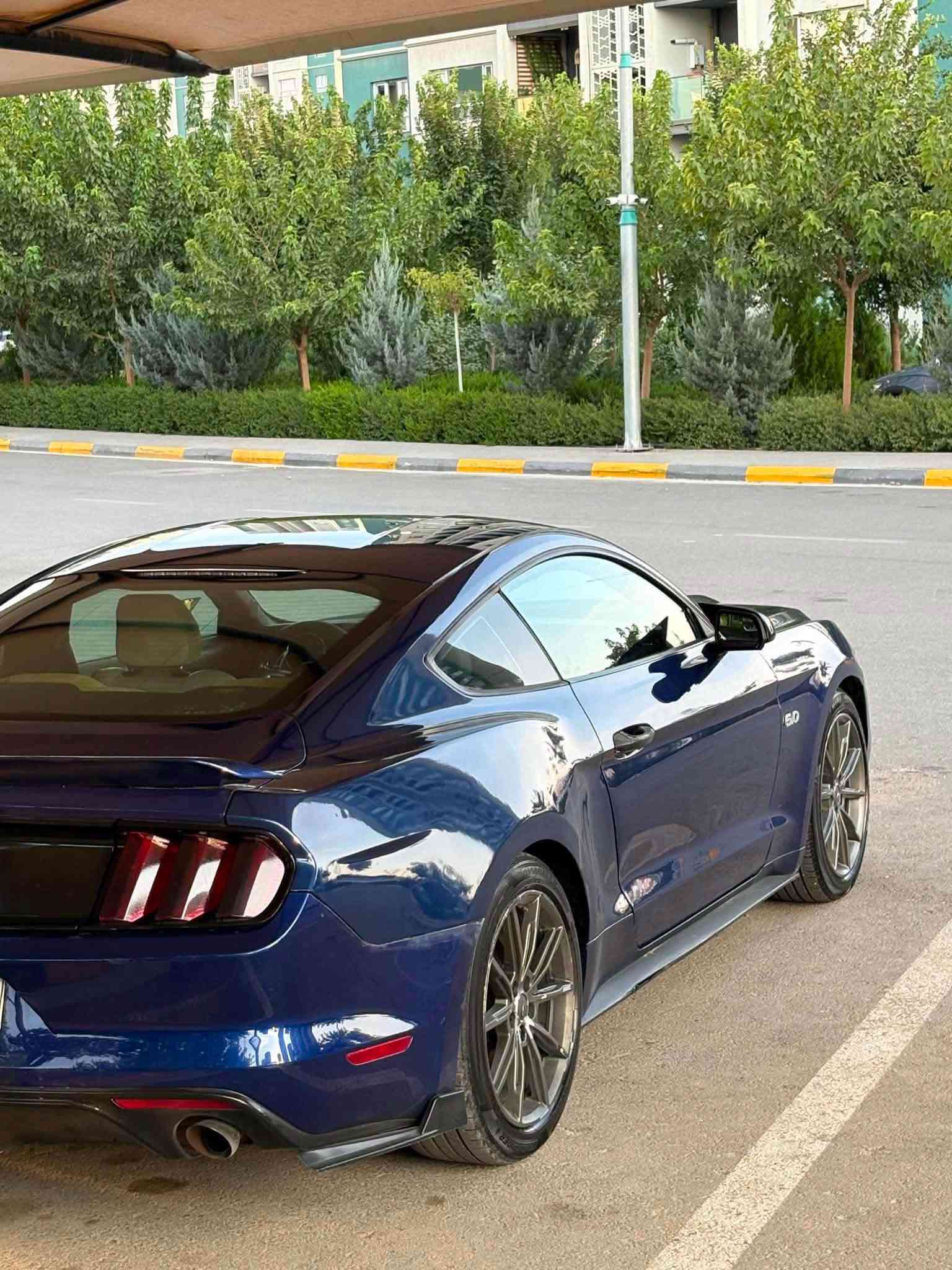 موستانگ V6 • ٢٠١٦ • سليمانية