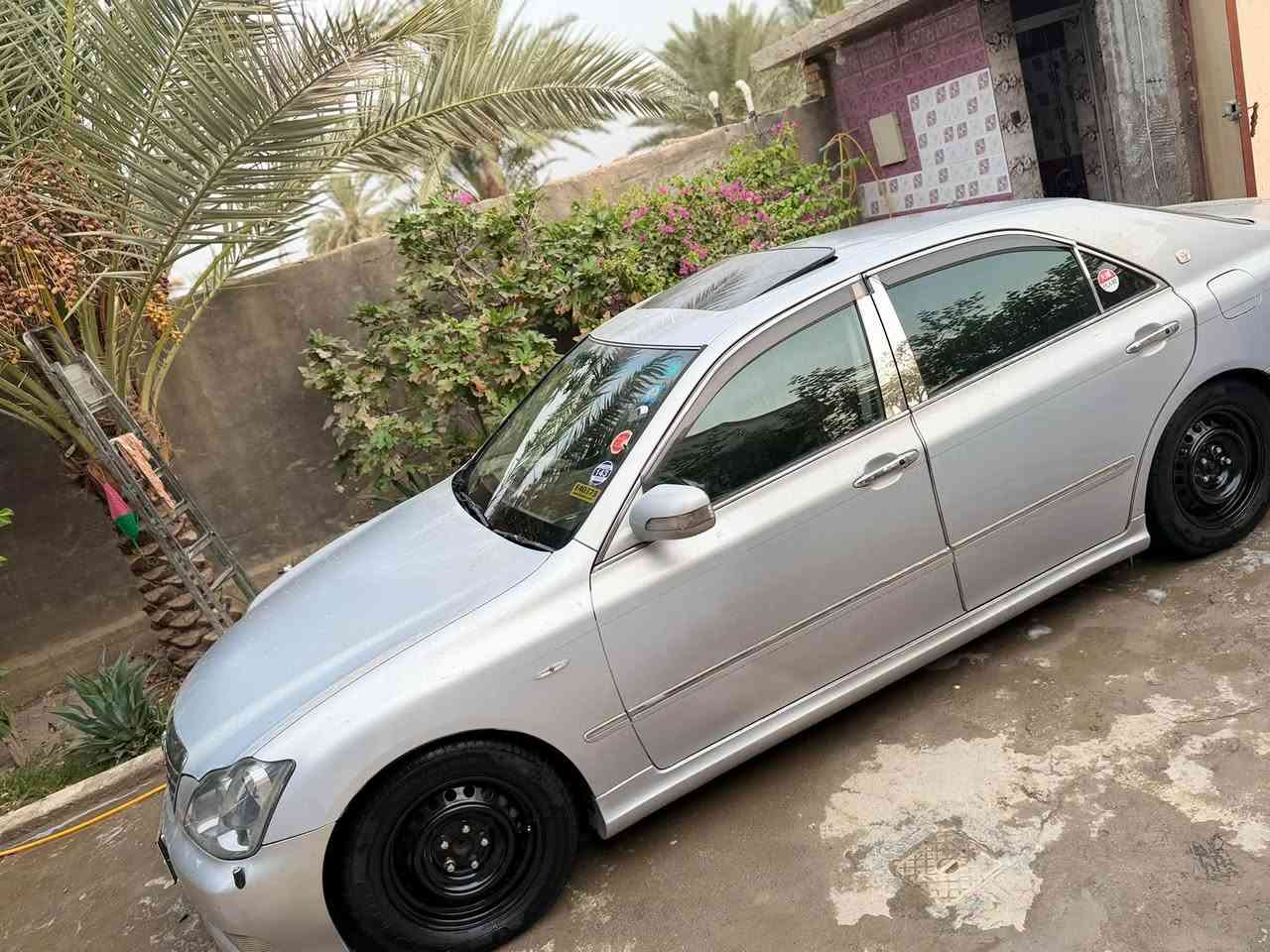 شاهينه • رقم نجف • بابل
