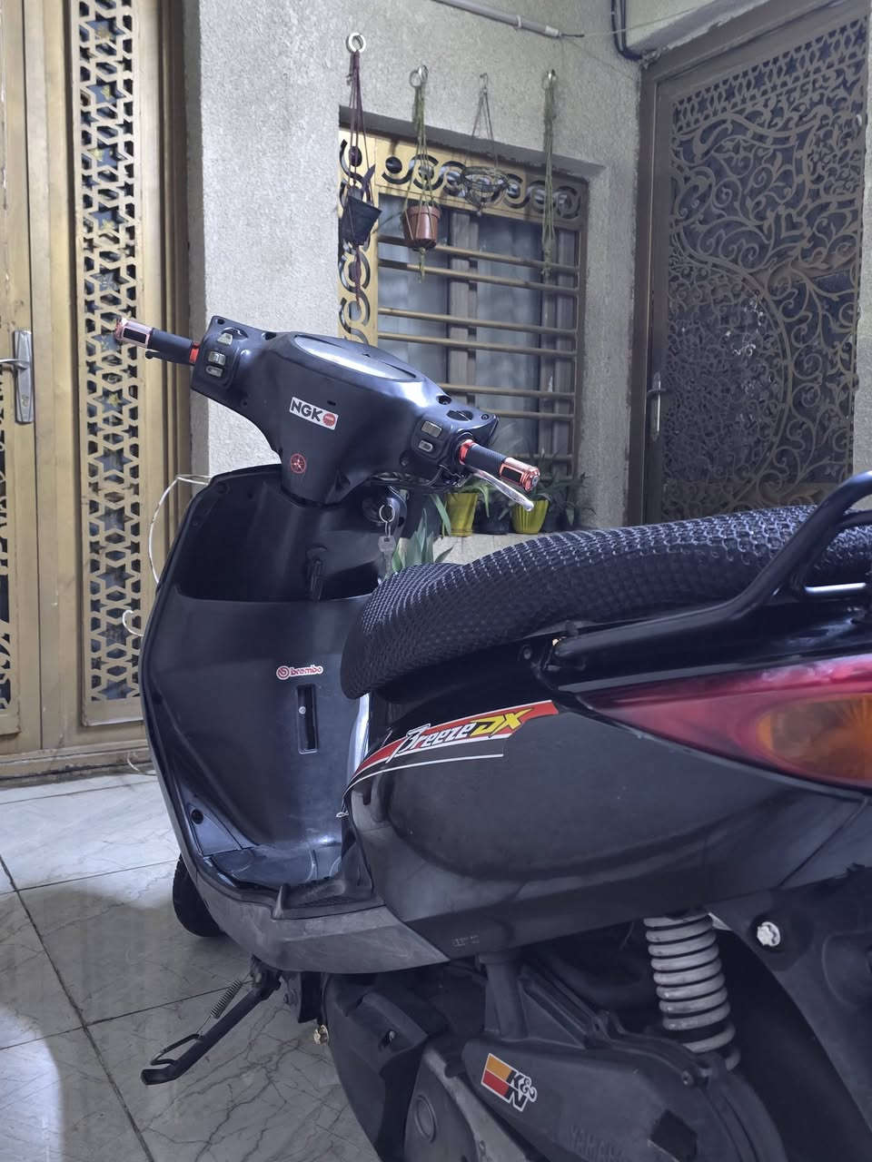بريز بغبغاء • نضيفة • بلادية