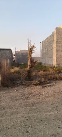 حي الازدهار • ١٦٠م • واجهة ٨م