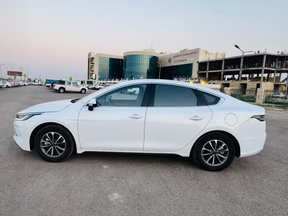 دستوريل • ٢٠٢٥ • رقم واسط