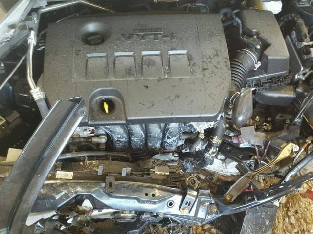 كورلا • ٢٠١٧ • رقم اربيل