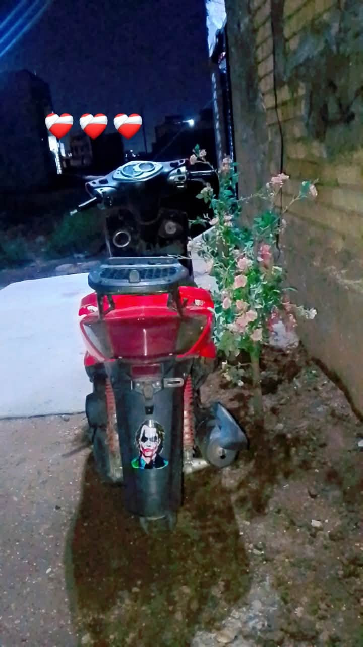سكنس فحل • مكملة • سلف