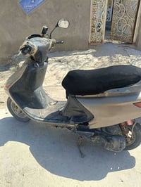 فراشة • مجال • واتساب