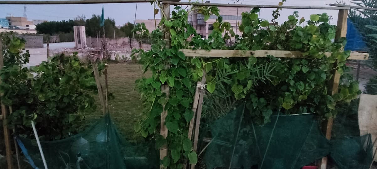 بسم الله يا الله

بيت للبيع عنوان قطاع 28 مقابل مدرسة الحكمة الاهلية 🏠

المساحة 100 متر مربع ... الواجهه 10 والنزال 10
 (استقبال ومطبخ وصالة وغرفة في الطابق الاول اضافة للصحيات)🏡

غرفة كاملة في الطابق الثاني واخرى غير مبنية 🛏️

فضله 100 متر مربع امام البيت عبارة عن حديقة (غير تابعة للبيت)

اريع مدارس ابتدائية ومتوسطة وثانوية قريبة جدا اضافة لسوق القطاع ومراكز صحية

🚨🚨للاستفسار اكثر ومعرفة السعر يرجى التواصل مع هذا الرقم فقط رجاءا 🚨🚨

***********
