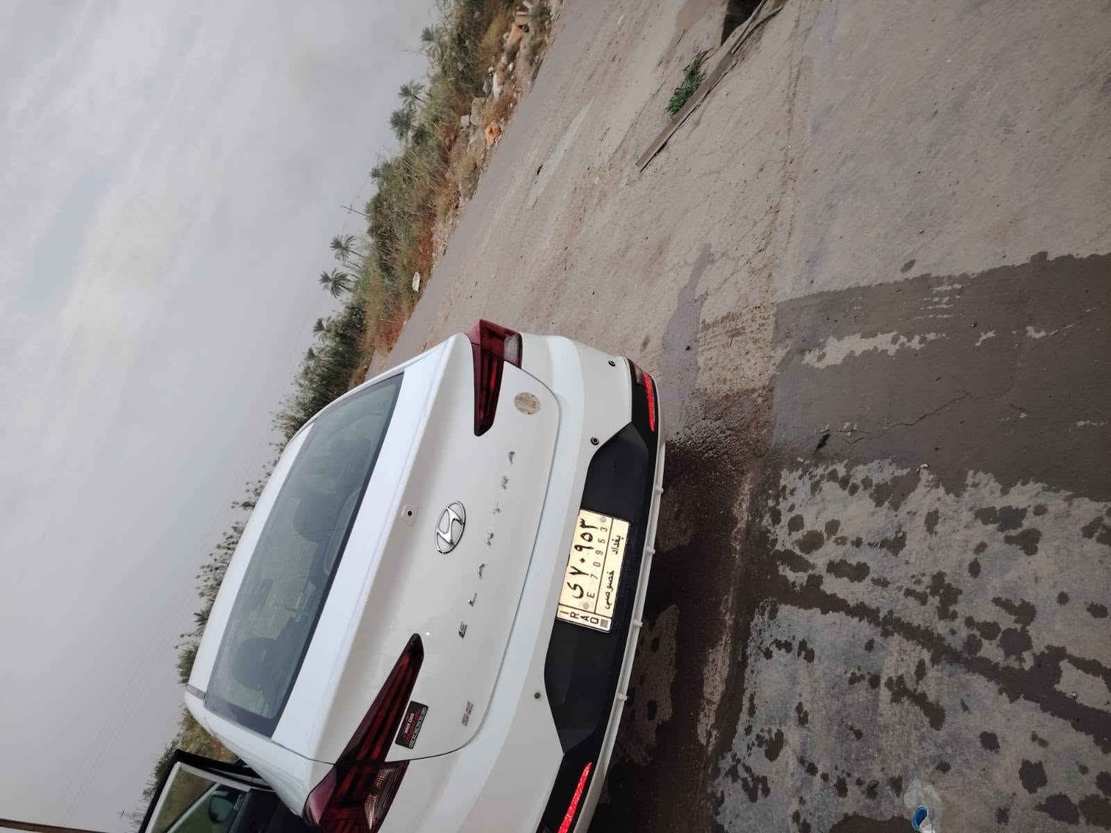 النترا • ٢٠١٩ • رقم بغداد