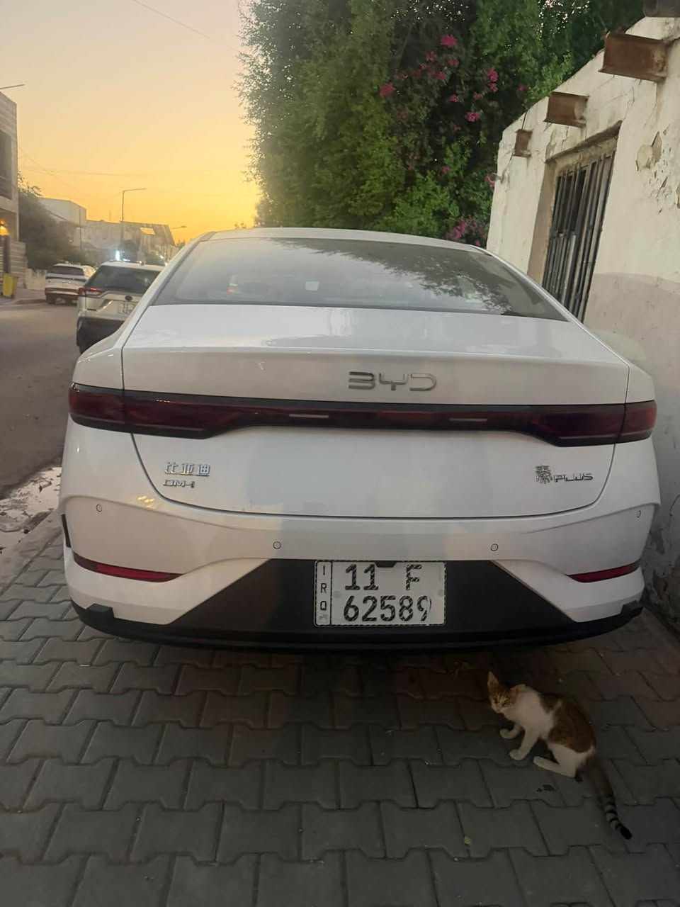 للبيع كن بلاص موديل 25 زيرو
مرقم بغداد بأسمي تحويل ثاني يوم 

ماشيه الف و200 زييييييرو 

كفااااله عامه 

داخل جلد زيتون 

***********‬

***********

اتصال // واتس 

السعر 21400
