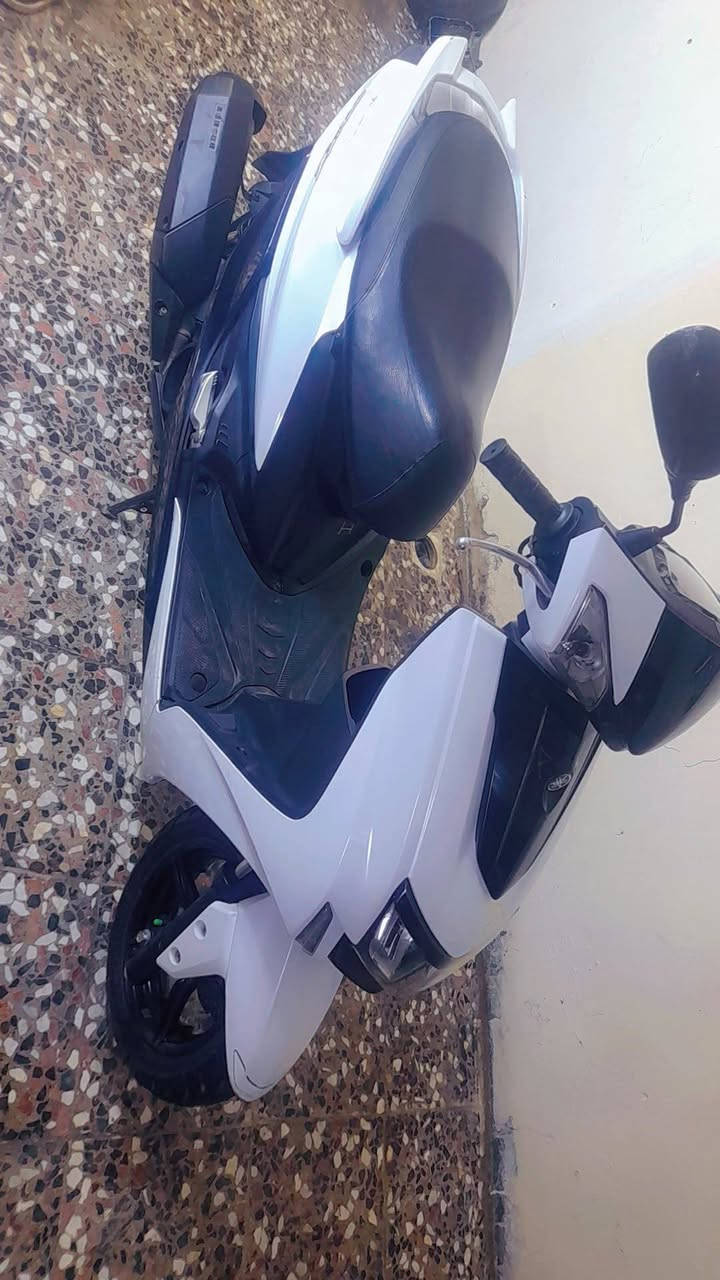 X5 • ياباني • مكفوله