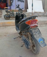 عصفورية • 150 • ما يجر وعر