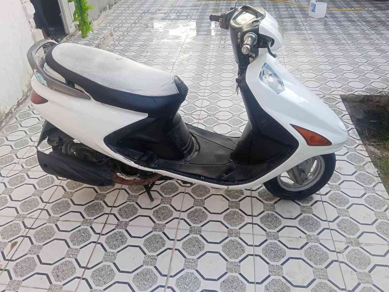 فراشة للبيع مكانها الديوانية ***********
