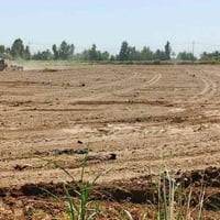 أرض زراعية للايجار • ٣ دونم • منطقة ١٧ بزنة