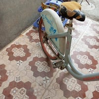 باسكل • حجم ٢٦ • بعقوبه