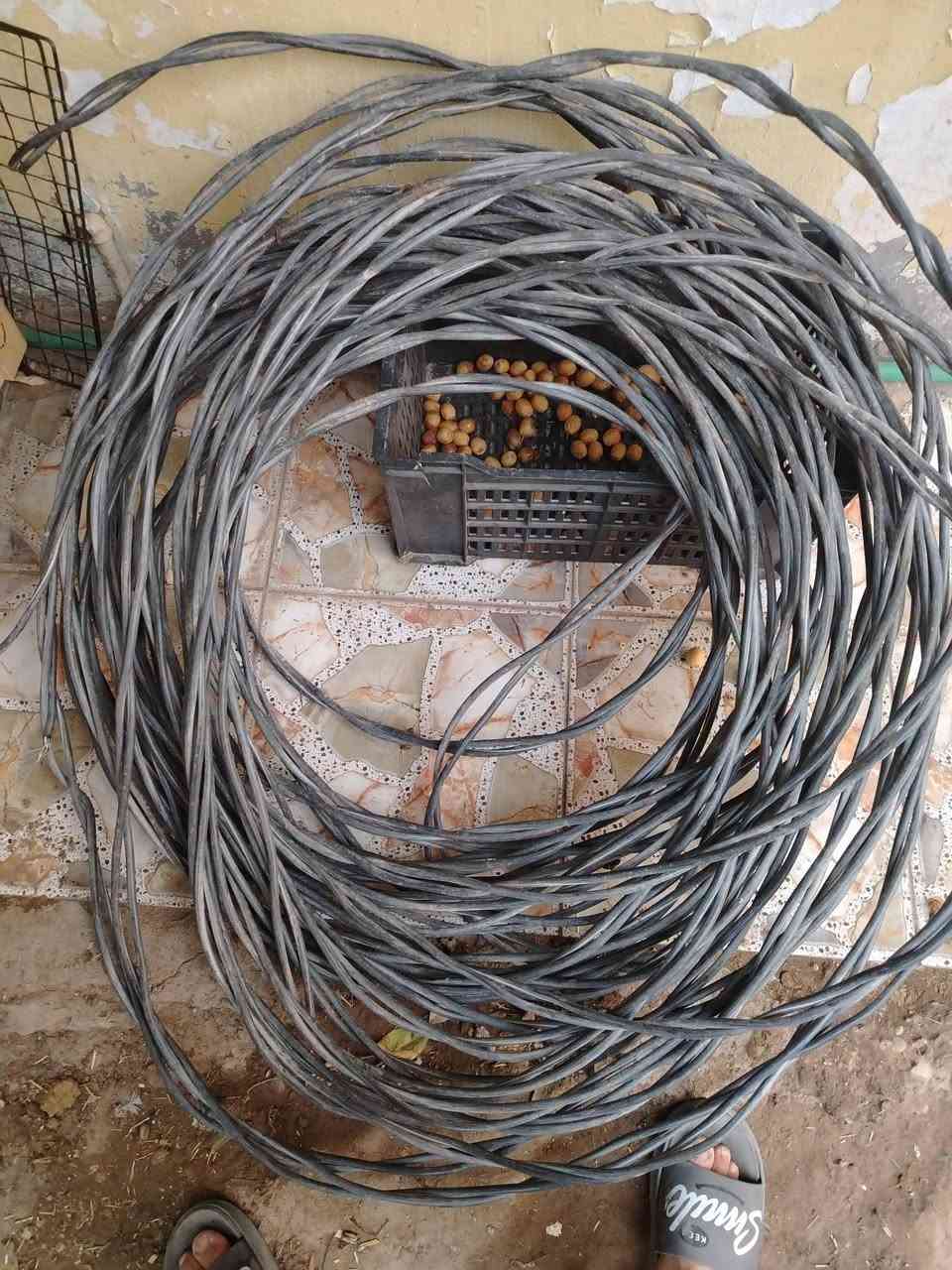 غطاس ابو٣ • شغال • ظفير ١٠٠م جديد