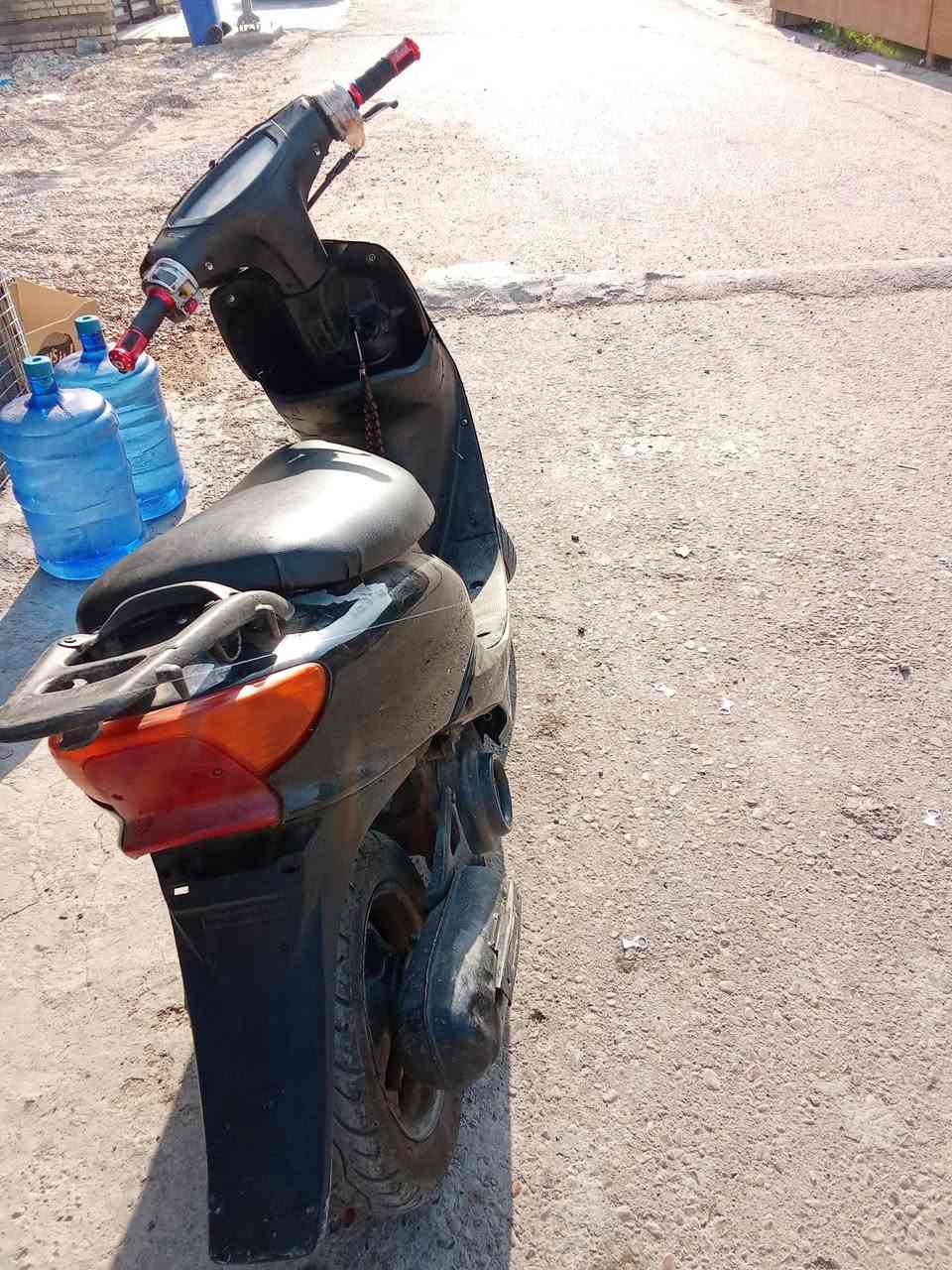 عصفوريه نكره سلف *********** مكان الشعب
