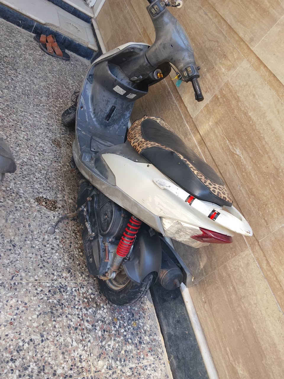 سلام عليكم ورحمه الله حبايبي ماكس منغولي بلادي من طول الطول دراجه نضيفه حيل لشراي يتصل واني خادم ***********
