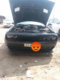 هيل كات • بدون كسر • قالبه حلو
