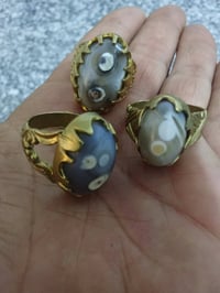 بغداد • حي الجهاد • شلع