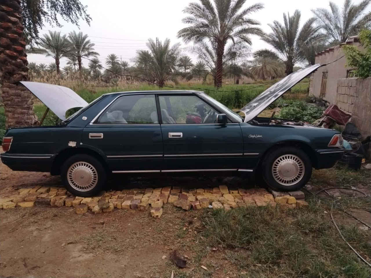 هارتوب طويل 1991 مكينة وكير وصدر مكفولات رقم نجف انكليزي بسمي هزة ما ساقطة سنويتها لنهاية 30، تبريد عاطل ،  السعر 38 بيه مجال بيع او مراوس حسب القناعة، كهربائيات كلها شغالة ، *********** العنوان بابل
