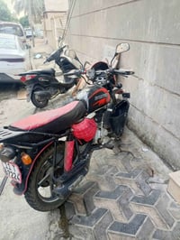 بوكسر جبلي • ٢٠٢٢ • مرقم