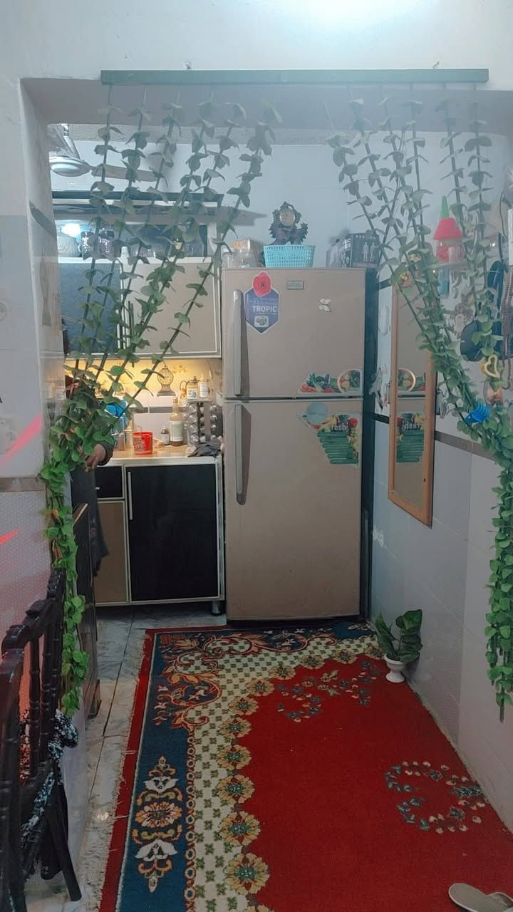 ربيت لليجار ثلاث طوابق  ابو دشير خلف مركز ايجاره 700 هذا رقم بي وتساب اي سفسار ***********
