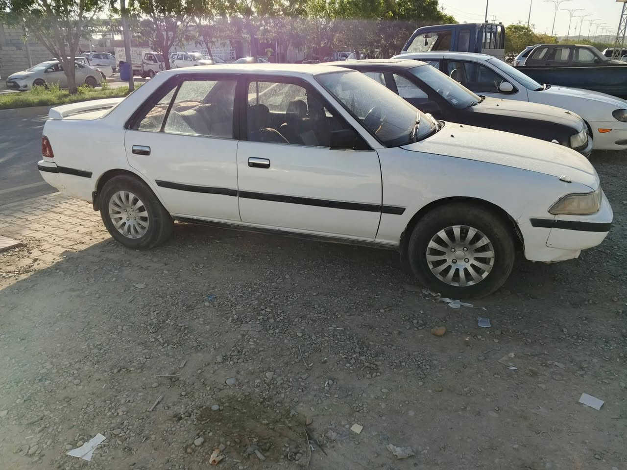 كرونا • موديل ٨٧ • رقم ديالى