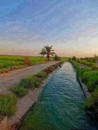 عرض اليوم2دونم طابو ملك صرف ع صب الرواي مباشر جميع الخدمات متوفر  - 💧 ...