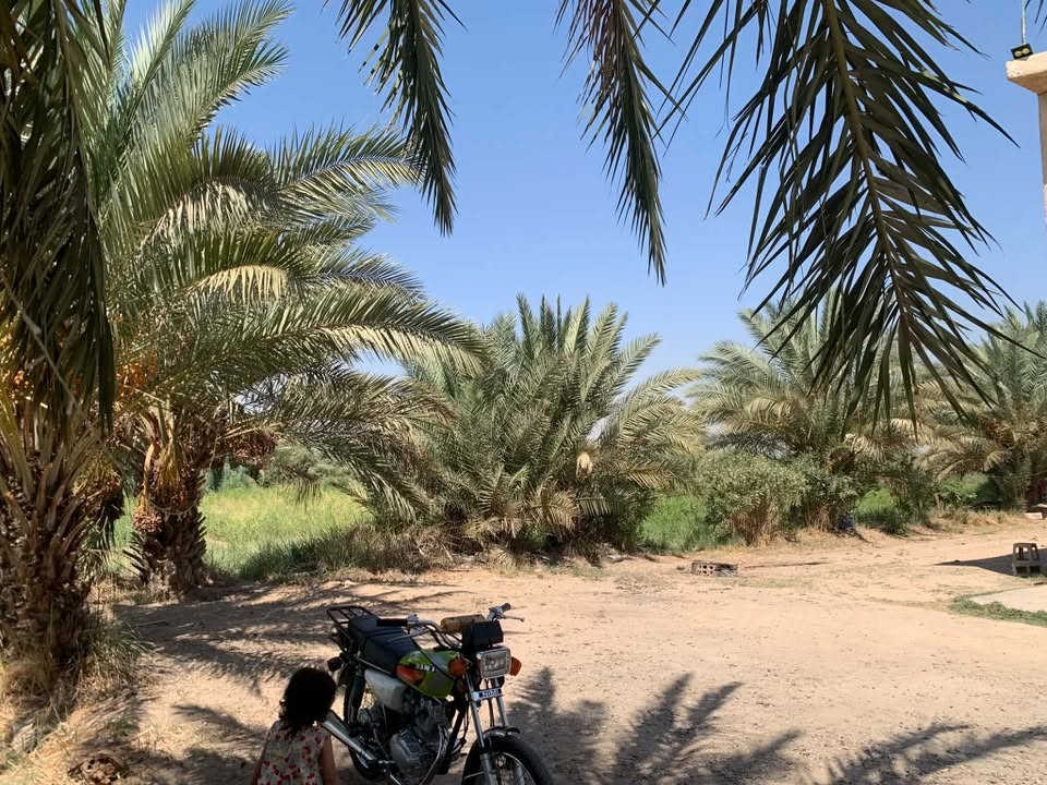 للبيع.. السلام عليكم ارض زراعيه 4 دونم مع بيت كبير ومشتمل  . جنس الأرض 117 مع شارع خاص للأرض فقط . الأرض محدده ب٣ نهران . . موقع الأرض بابل منطقه الطاهريه تبعد عن شارع حله بغداد ٢ كيلو 

*********** واتساب 

***********
