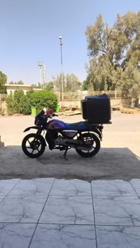 بوكسر • جبلي • رقم انكليزي
