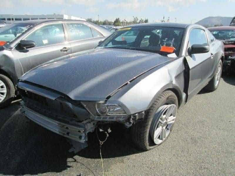 السلام عليكم
موستنك 14 v6 للبيع او للمراوس ب كورلا 🩶

حادثها جاملغات اماميه من امريكا طعج بس بجم كبس بدون شواصي بدون لغود !صور الحادث ب منشور

واهنا صار بيها صبغ رش جماليه 5 قطع فقط بدون حادث ولا معجون اعتبرها حزام

البنيد والقماره والصندوك مابيهم شي

كير ومحرك واكسل مكفول

الاضافات :

داون بايب

اكس بايب

دبات فورتك  صوت رعيد تحكم ريمونت شغل علي الوادي

اكسل جيتي

شباك جيتي

لحيه rtr

جناح شيلبي

دفيوزر شيلبي

ويل svt الاصلي400$

فجوج برمبو

مسطره rtr مغلفه فورجد كاربون

لدات متغير الوان داخلي وخارجي تحكم ب تلفون

زرع عدسات + عيون الشيطان يم اسرار الاسدي

ماشيه 100mi 🩶

من اقوى السيارات بموديلها برمجه الضرغام

‭***********‬ 

مكاني بغداد حي الجهاد
