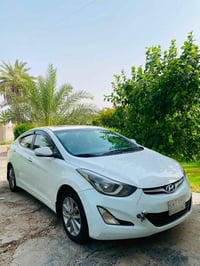 النتراء • ٢٠١٦ • بدون صبغ
