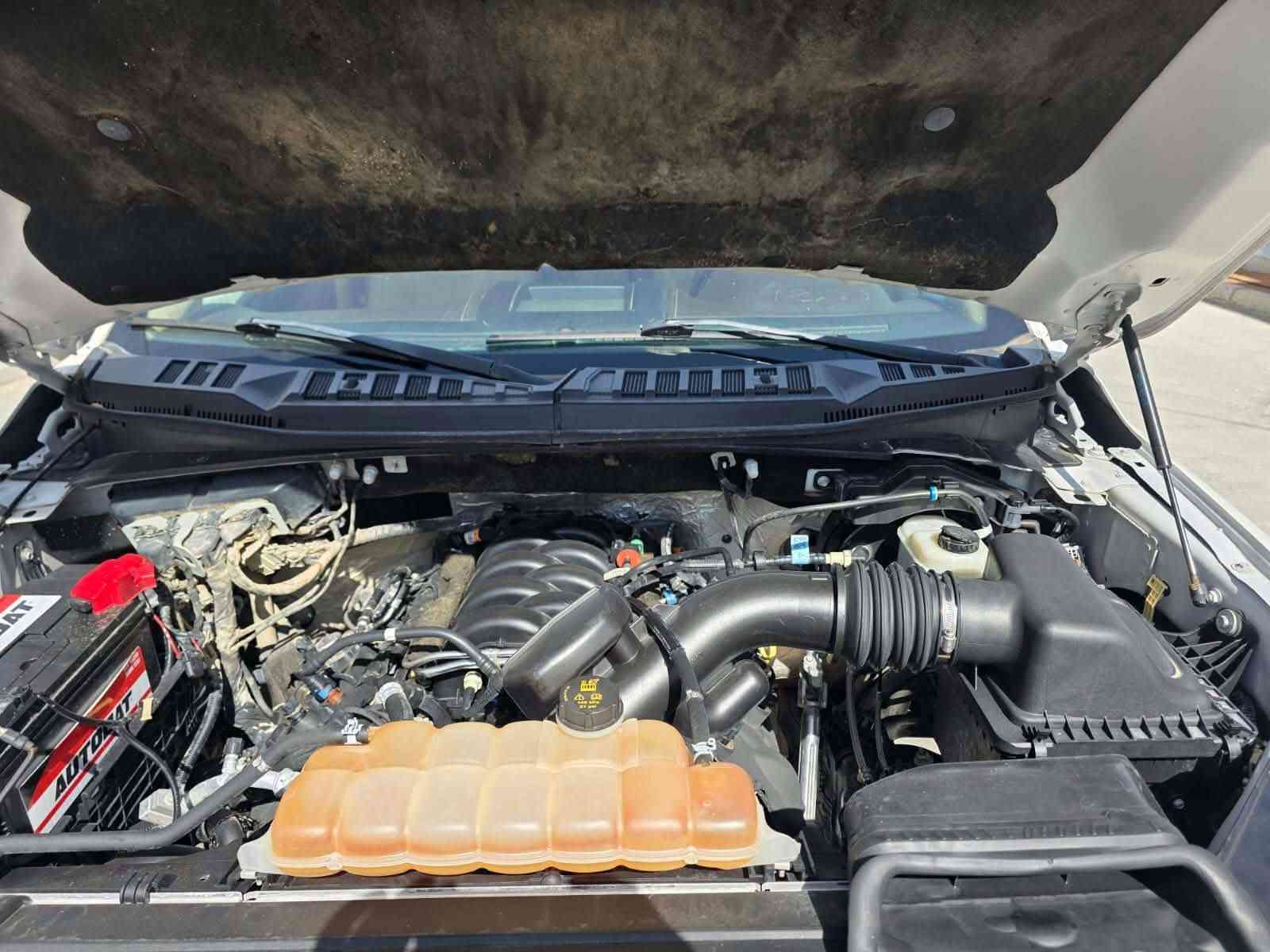 فۆرت f150 بۆ فرۆشتن مۆدێل ۲۰۱۹ قەپات مواسەفات تەنها کوشین مەساج و کامیرە ۳٦۰ پلە نییە.... سەقف پانۆڕامە دۆسە کارەبای کوشین جلدە کوشین سارد و گەرمە بەسمەیە هەشت پستۆنێ بێ تۆڕبۆیە... سەیارەکە سۆنەرەکەی داندراوە ناو وێنەکان ماڵی دۆستە.... ملیۆنەک زیاتر غرامەی لەسەرە دواێ مەعمەلە وەردەگریەوە..... سعری ۲٤۰ وەرەقە و مەجالێکی برایانە..... ئەوەش ژمارەی خاوەنی.... *********** أربيل, العراق
